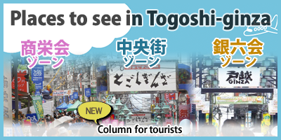 togoshi shoes wikipedia