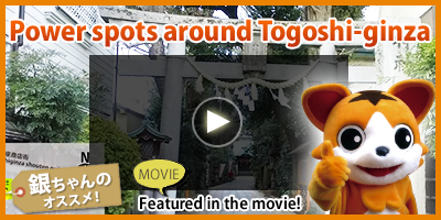 togoshi shoes wikipedia